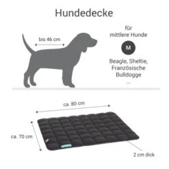 Doctor Bark Wendedecke Grau/ Grün M 9 Doctor Bark Wendedecke Grau/ Grün M -Tierbedarf Geschäft f37d437477881c255ec90090ee372f1d081c4491 1658163 de DE b3ed02c8f74e1b928f471e3e08fbb592b48c64bbcRukfl