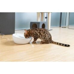 AniOne Keramik-Trinkbrunnen Waterfall Weiß Ohne Ersatzfilter -Tierbedarf Geschäft f5666e2f535275128e81462f19991e450c3d3f87 c66954489332ac4ff326811e24559ef9b2854fac