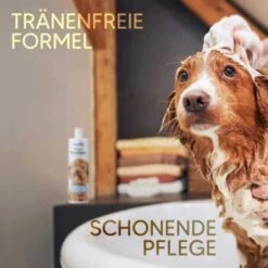 Pawlie's Welpenshampoo -Tierbedarf Geschäft f56801adb1bee6d0b5fdd328d641fa773ce5d4c4 1626204 de DE 7b87b87a2e48e8c0e12b98c918c4d75b538aae40E5TfEc