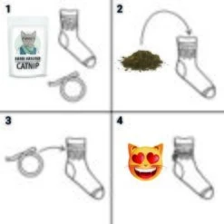 Kater Kasimir Premium Katzenminze, 60g Vorratspack (getrocknet, Geschnitten Und Gesiebt) -Tierbedarf Geschäft f679550fad32a9708cf03f4945dc49a44a23048e 1408153 de DE 9863cecf4fe88297281c4955f3d36db2225e4d4cqqfXpp