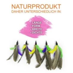 Schlitzohr Katzenangel Federanhänger 5x -Tierbedarf Geschäft f6a96b93601c3b2f6f7420ade3ecfe56542cca74 1484675 de DE b1d2fd29ad67016b9a6af908251d348edfa467f2BG8aWR