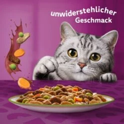 Whiskas Tasty Mix Multipack Chef's Choice In Sauce 40 X 85g -Tierbedarf Geschäft f6e2ae102927feafb9e342708a0412557690953c 1410720 de DE Whiskas 6