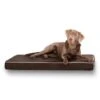 Knuffelwuff Hundematte Maui Aus Velours Mit 9cm Schaumstoff Braun L -Tierbedarf Geschäft f7afef677f79c4b2697a4e6f1fbf1a45e34815f0 1412188 de DE e50daaa1e56a486b4713aec84b2785504290f6a80qboGg