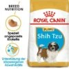 ROYAL CANIN Shih Tzu Puppy 1,5kg -Tierbedarf Geschäft f8fdf80b8f554080df561cf6c71f78d36111530b ec014b96b387c475879867d318d4210021dfe10c