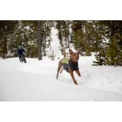 Ruffwear Climate Changer™ Fleece-Pullover Für Hunde Rot S -Tierbedarf Geschäft fc22c2bf571467d3b4a13f07039506d1e744f556 1369661 de DE a9fba8eb5491b88489a9522880e926a6833ccfbe7NJDVr