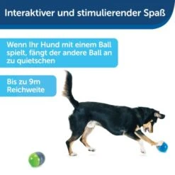 PetSafe Elektronisches Hundespielzeug Ricochet -Tierbedarf Geschäft fde7c0cc07cd70611ca47b65ddae3e632f160d94 1418724 de DE 4f6e4953c50827cae26a42d6d5890e56447a49a4XQHEwC