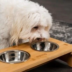 Lionto Erhöhte Futterstation Aus Bambus Braun/ Silber S 10 Lionto Erhöhte Futterstation Aus Bambus Braun/ Silber S -Tierbedarf Geschäft ff2eba128a0d6b75a70cc824dc213b8dd85d734a 1665921 de DE e23b5a688ebe67bbe1f23e079b16083d61ef18cdlFh9kV