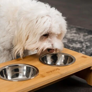 Lionto Erhöhte Futterstation Aus Bambus Braun/ Silber S 5 Lionto Erhöhte Futterstation Aus Bambus Braun/ Silber S – Bild 3