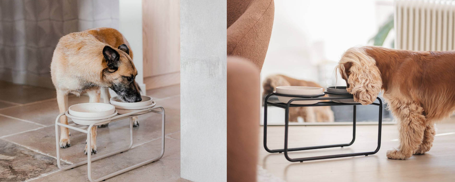 Tierbedarf Geschäft -Tierbedarf Geschäft fhfh